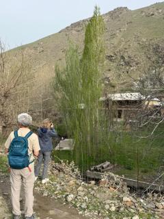 Ulugbeks guesthouse - 4