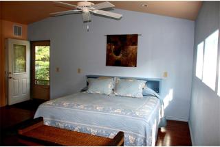 Enchanting Room Rental with Stunning Lake Views near Houston, Texas - Burnet - 4