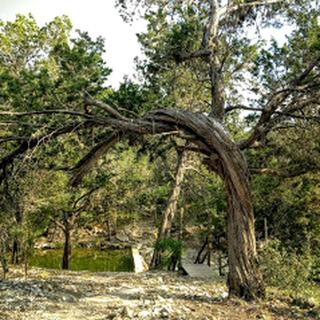 Texas Hill Country Glamping in this Rustic Cabin - Perfect for Family Vacations in the South - Vanderpool - 5