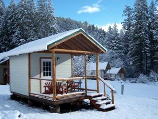 Cozy Cabin near Trailheads and Waterfalls in the Umpqua National Forest, Oregon - Idleyld Park - 4