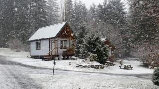 Charming Cabin for an Off-Grid Getaway in Umpqua National Forest, Oregon - Idleyld Park - 1