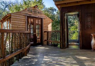 Tree House Rental with Private Pool in Celeste, for Glamping Adventures in Texas - - 1