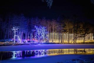 Amazing and Spacious Cabin Rental for Wisconsin Family Vacation - Saint Croix Falls - 6