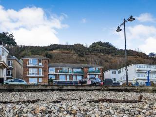 Shanklin Beach - Napier - 8