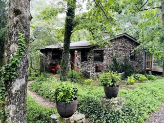 Fantastic Cozy Cottage with Fire Pit and Barbecue in Mentone, Alabama - Mentone - 9