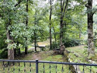 Fantastic Cozy Cottage with Fire Pit and Barbecue in Mentone, Alabama - Mentone - 7