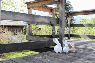 Chalet AS des Pics - Nendaz - 5