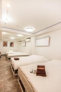 R101-Shinjuku 13 minUp to 8 people 60 sqmFull renovationRoppongi and Tsukiji direct accessFamily group7 min to Ochiai Minami-Nagasaki Station - 9