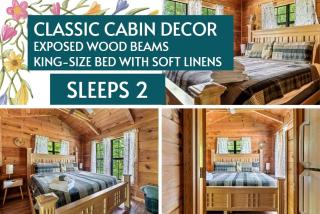 Beautiful Rustic Cabin with Jacuzzi, Covered Porch and Mountain Views in Sevierville, Tennessee - Sevierville - 1