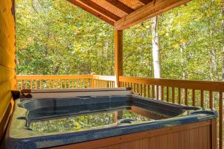 Secluded Cabin with Hot-tub and Fire Pit in Cleveland, Georgia - Cleveland - 9