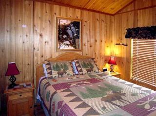 Family-Friendly Cabin Ideal to Create New Memories in Inverness, Florida - Inverness - 7