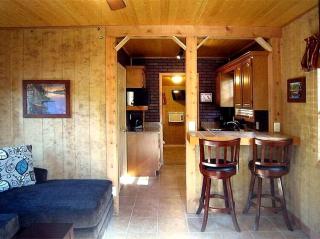 Rustic Cabin Perfect for a Romantic Getaway in Inverness, Florida - Inverness - 9