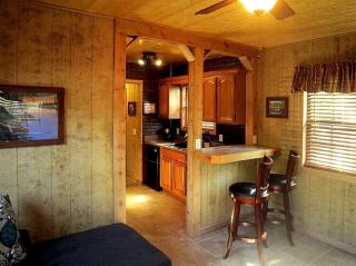 Rustic Cabin Perfect for a Romantic Getaway in Inverness, Florida - Inverness - 3