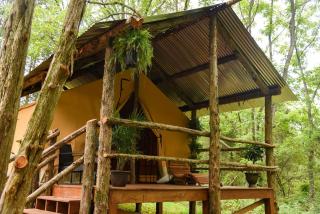 Luxury Safari Style Tents for Getaways in Pennsylvania - Abbottstown - 9