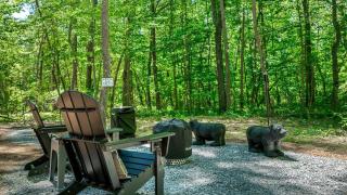 Incredible Cottage with Fire Pit and Stunning Forest Views in Mentore, Alabama - 7