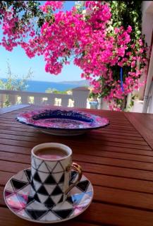 Sevinc Papatya House - Milas - 0