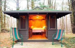 Unique Cabin Vacation Rental for Large Groups on the coast of Lake Michigan near Saugatuck, Michigan - Fennville - 8