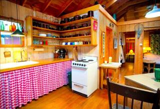 Unique Cabin Vacation Rental for Large Groups on the coast of Lake Michigan near Saugatuck, Michigan - Fennville - 4