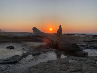 Makana Beachfront Apartment - Warner Beach - 6