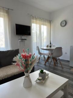 Apartments Tijana - Tivat - 0