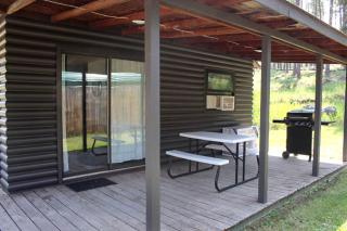 Cute Creek-Side Cabin Nestled by Mount Rushmore in Rapid City - Rapid City - 1