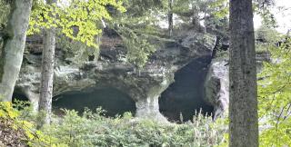 Amstadt's Birkenfels - 6