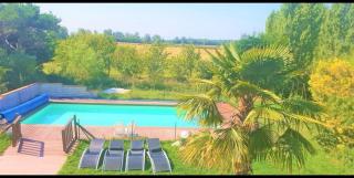 Maison Standing 260M2 Véranda Piscine Jardin 2700M2 Vue campagne - Lherm - 7