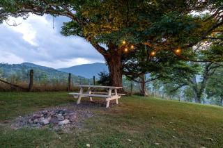 Peaceful Tiny House in the Mountains near Seneca Rocks, West Virginia - Seneca Rocks - 6