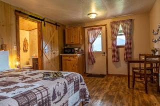 Peaceful Tiny House in the Mountains near Seneca Rocks, West Virginia - Seneca Rocks - 1