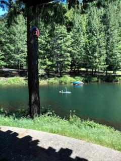 Amazing Glamping Tent Rental for a Unique Vacation in Oregon - Wolf Creek - 1