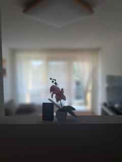 Ferienwohnung Shirin - Rust - 0