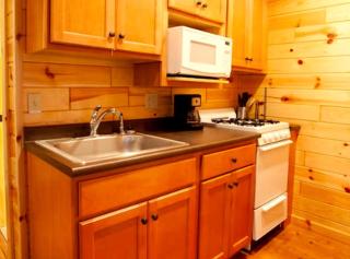 Cozy Michigan Cabin Getaway in Huron National Forest - Five Corners - 3