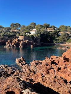 La Cigalière - Saint-Raphaël - 7