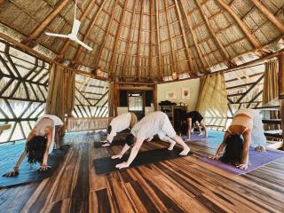 Senda Loto Retreat Meditation Yoga - Santa Marta - 5