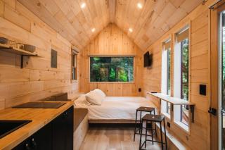 Secluded, Dog Friendly Tiny House on the Hudson River, near Saratoga Springs - Corinth - 1