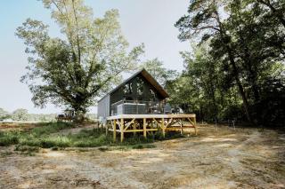 Luxurious Modern Cabin with Hot Tub and Deck in Cedar Bluff, Alabama - Gaylesville - 8
