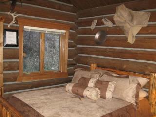 Rocky Mountains Nature Escape: Amazing Log Cabin with a Hot Tub in Darby, MT - Darby - 1