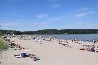 fewo1846 Strandresidenz Wassersleben - Luv - komfortables Studio-Apartment mit Balkon und Meerblick - Harrislee - 9