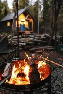 Picturesque Cabin Nestled Amidst Trees in Anchorage, Alaska - Anchorage - 9
