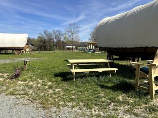 Riverfront Glamping on Cape Fear River in Lillington, North Carolina - Lillington - 7