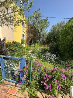 Casa da Parreira - Loulé - 3