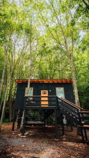Stunning Tree House Perfect for Couples in Erwin, Tennesse - Erwin - 4