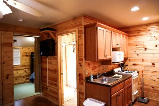 Secluded and Peaceful Cabin Rentals Along the Au Sable River in Michigan - Five Corners - 2