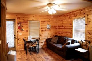 Secluded and Peaceful Cabin Rentals Along the Au Sable River in Michigan - Five Corners - 1