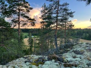 Woodslope Camping - Porvoo - 6