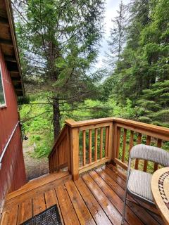 Stunning Cabin with Fantastic Forest Views in Seward, Alaska - Seward - 6