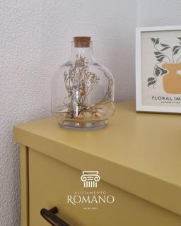 Alojamento Romano - São Pedro do Sul - 0