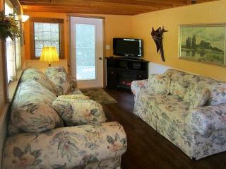 Waterfront Cabin Perfect for Families in Inverness, Florida - Inverness - 9