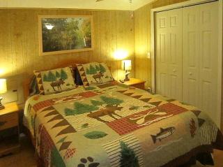 Waterfront Cabin Perfect for Families in Inverness, Florida - Inverness - 1