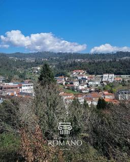 Alojamento Romano - São Pedro do Sul - 4